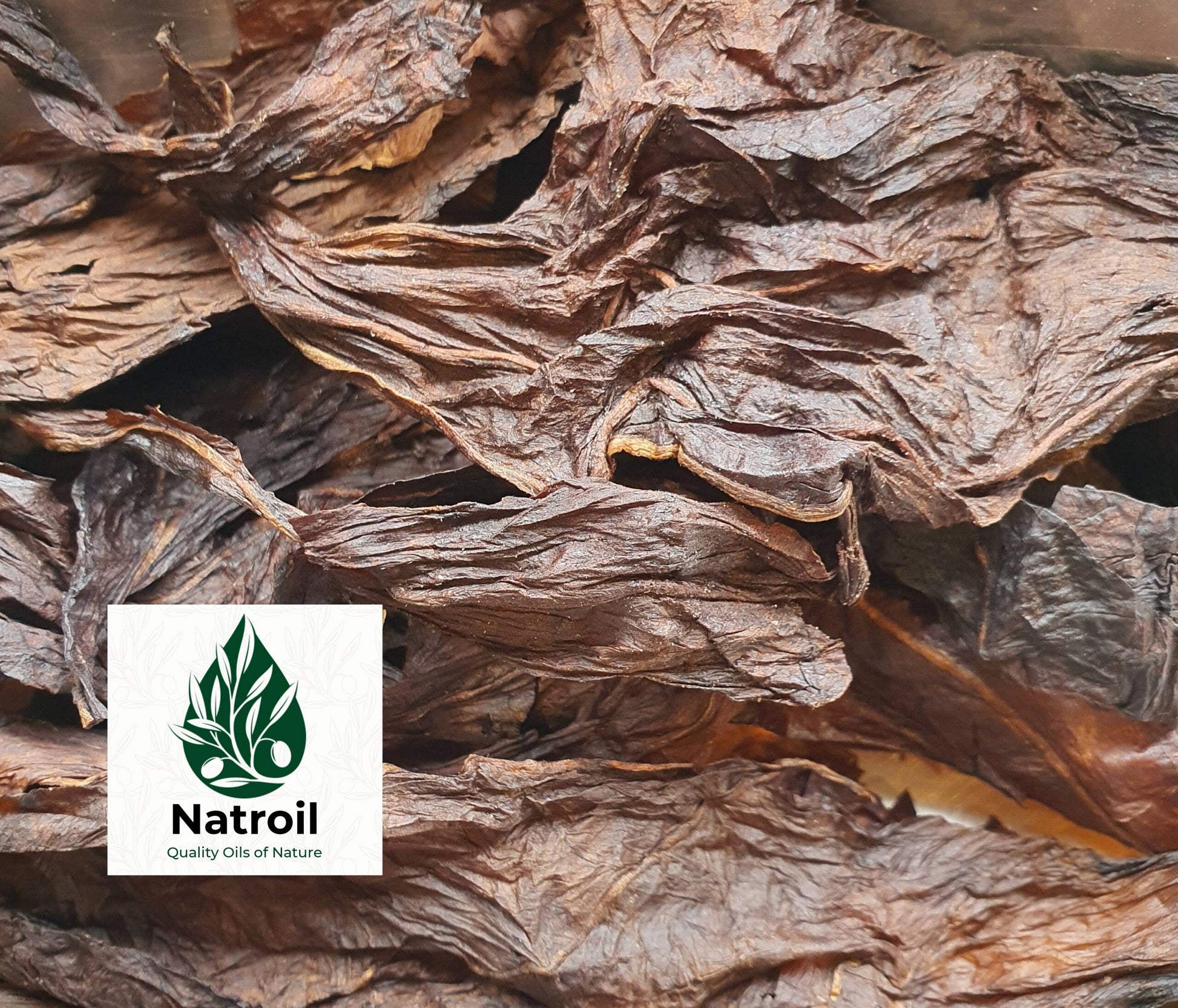 Dried Tobacco leaves