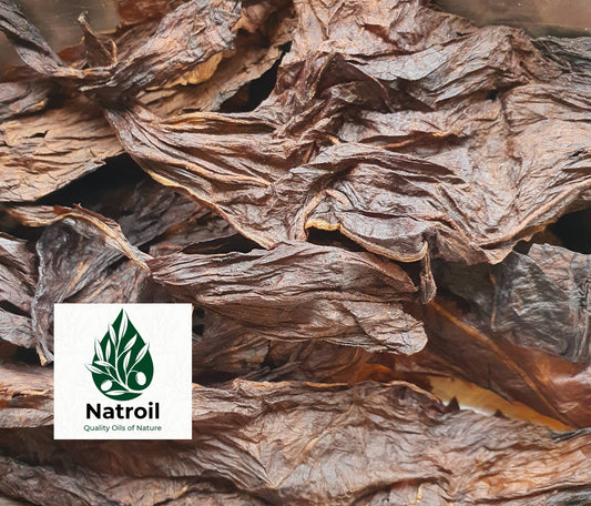 Dried Tobacco leaves