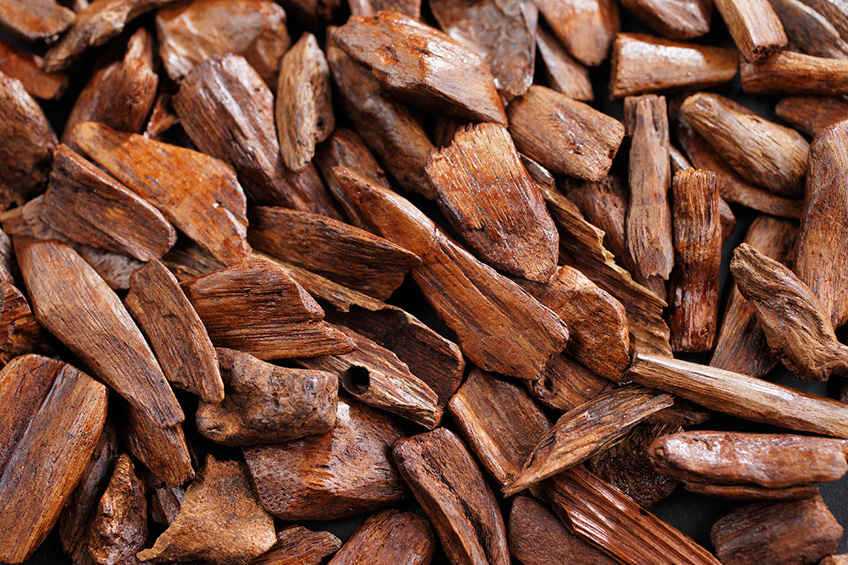 Premium Agarwood OUD (Aquilaria malaccensis L.) ) 100% PURE Essential OIL