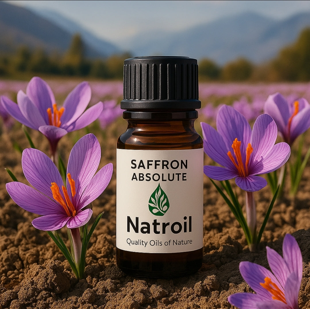 Saffron (Crocus Sativus) absolute oil 100%
