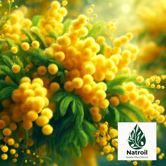 Osmanthus flowers