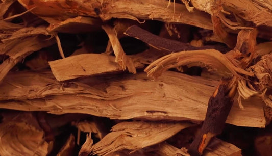 Indian sandalwood bark image