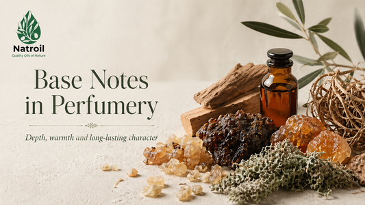 The Uses of Base Notes in Perfumery: Depth, Fixation and Long-Lasting Character