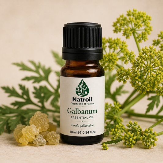 Galbanum Essential Oil (Ferula galbaniflua) – Premium Perfumery Grade