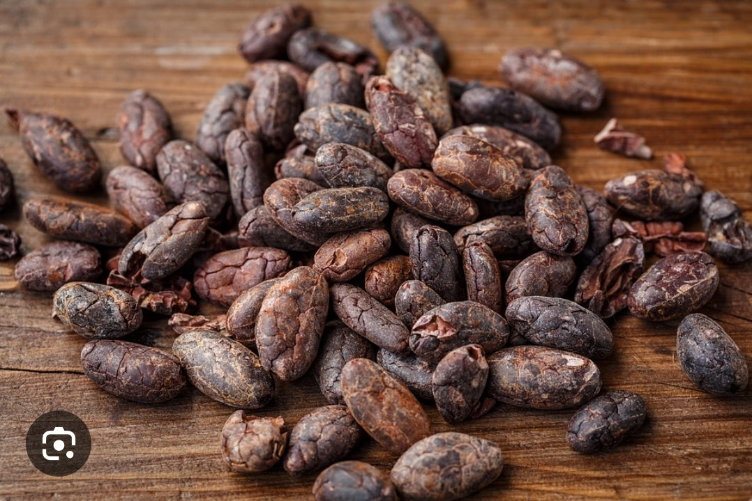 Cocoa (Theobroma cacao L.) Absolute Oil