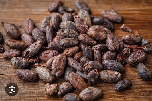 Cocao (Theobroma cacao L.) Absolute Oil