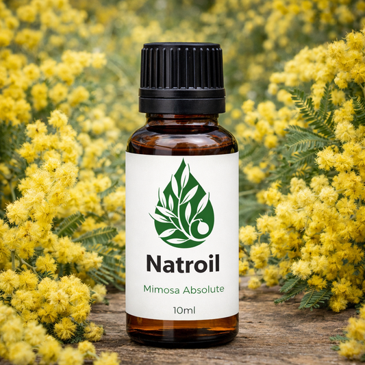 Mimosa (Acacia Dealbata L.) Absolute Oil