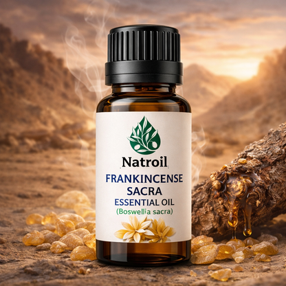 Frankincense Sacra Essential Oil (Boswellia sacra) | Premium Resin Distillation