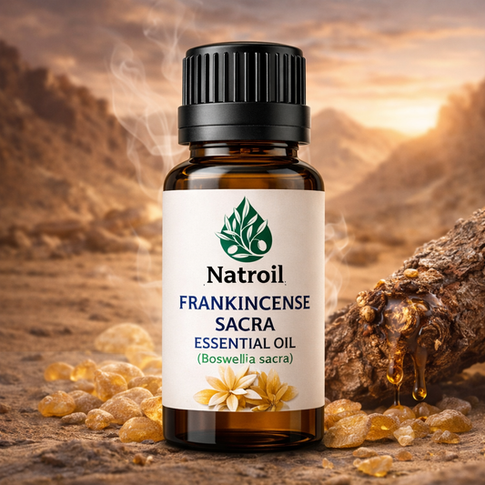 Frankincense Sacra Essential Oil (Boswellia sacra) | Premium Resin Distillation