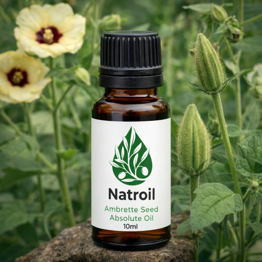 Ambrette Seed ABSOLUTE (Abelmoschus moschatus L.) Oil 100% Natural