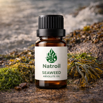Seaweed (Fucus vesiculosus) Absolute Oil 100% Natural