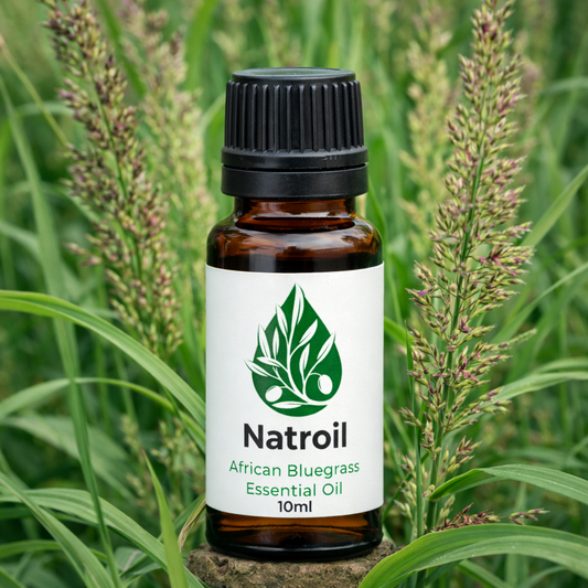 African Bluegrass (Cymbopogon validus L.) Essential oil 100% Natural