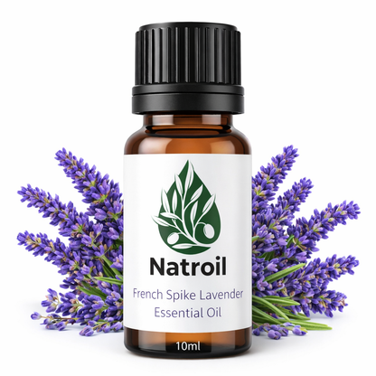 French Spike Lavender (Lavandula latifolia L.) Essential Oil 100%