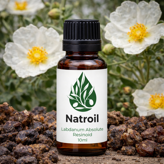 Labdanum (cistus ladaniferus L.) 100% Absolute Oil