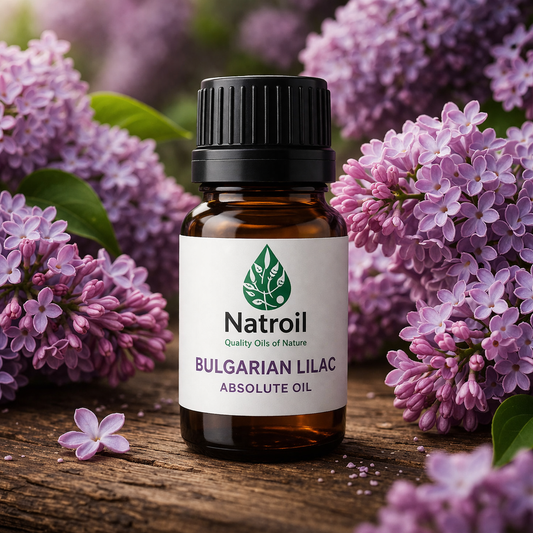 Bulgarian Lilac (syringia vulgaris L.) Absolute Oil 100%