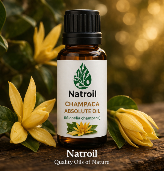 Champaca Absolute Oil (Michelia champaca) – Exotic Floral Perfumery Base | Natroil