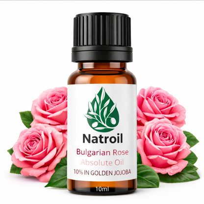Bulgarian Rose Absolute Oil 10% in Golden Jojoba – Rosa damascena