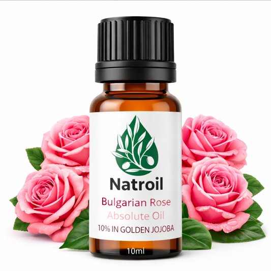 Bulgarian Rose Absolute Oil 10% in Golden Jojoba – Rosa damascena