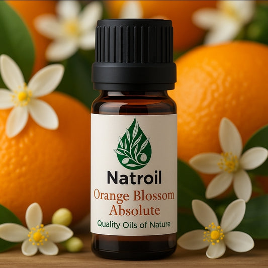 Orange Blossom ABSOLUTE (Citrus aurantium var. amara L.) Oil 100% Natural
