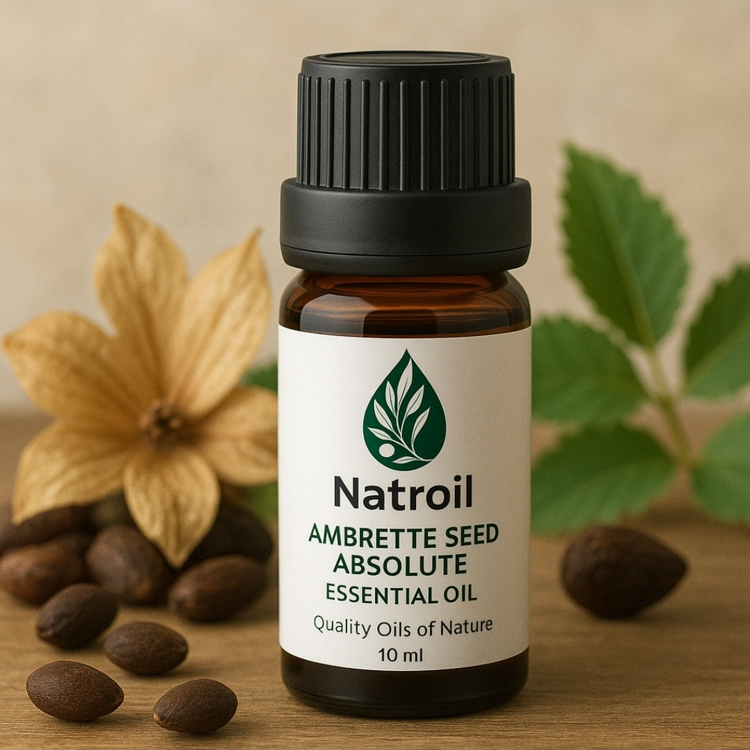 Ambrette Seed (Abelmoschus moschatus L.) Essential Oil 100% Natural