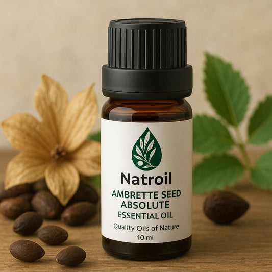 Ambrette Seed (Abelmoschus moschatus L.) Essential Oil 100% Natural
