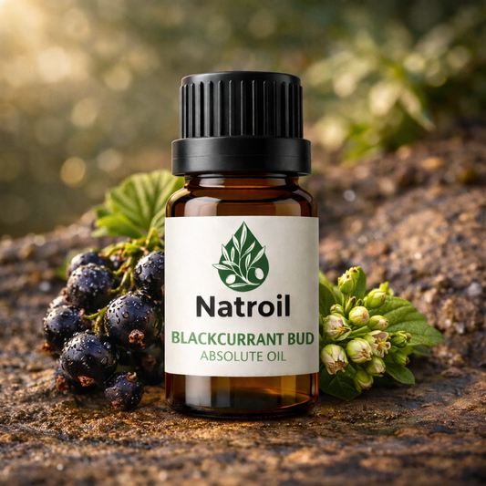 Blackcurrant Bud (Ribes nigrum L.) Absolute 100% Natural Oil