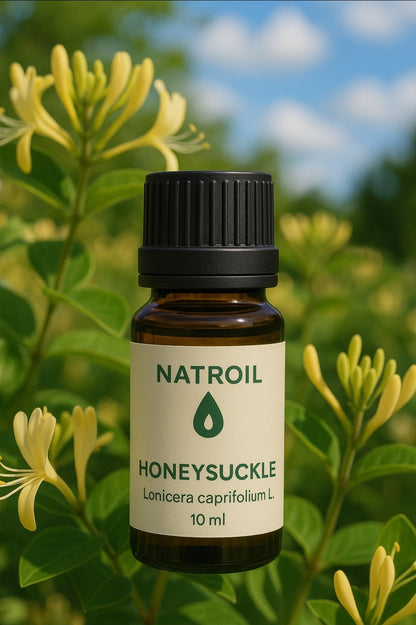 Italian Golden Honeysuckle (Lonicera caprifolium L.) Absolute Oil 100%