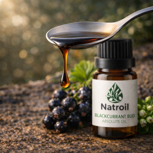 Blackcurrant Bud (Ribes nigrum L.) Absolute 100% Natural Oil