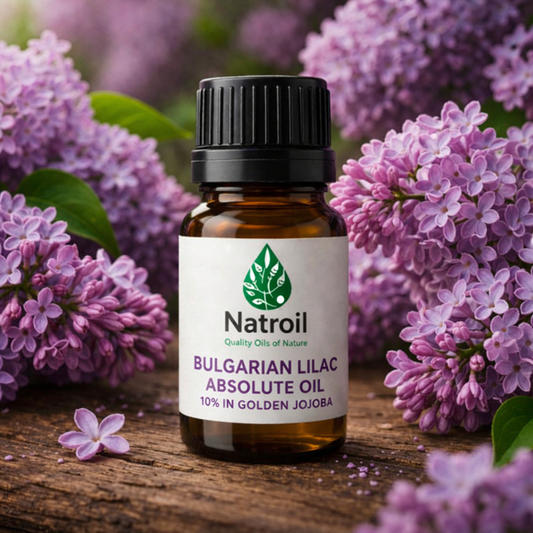 Bulgarian Lilac (Syringa vulgaris L.) Absolute Oil 10% in Golden Jojoba Oil