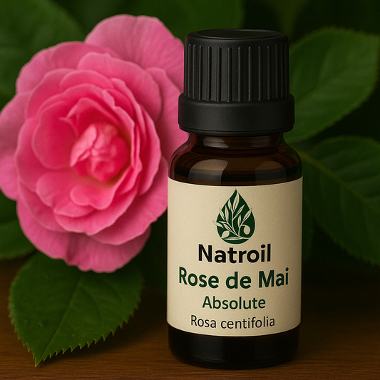 Rose De Mai ( R. centifolia L.) Absolute Oil 100%