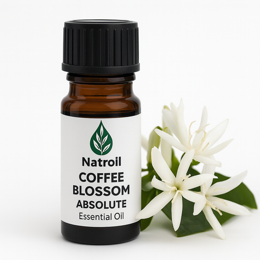 Coffee Blossom (Coffea Arabica L.) Absolute Oil 100%