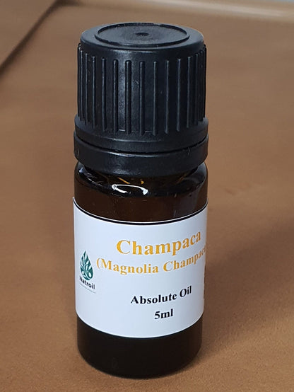 Champaca Absolute Oil 100%