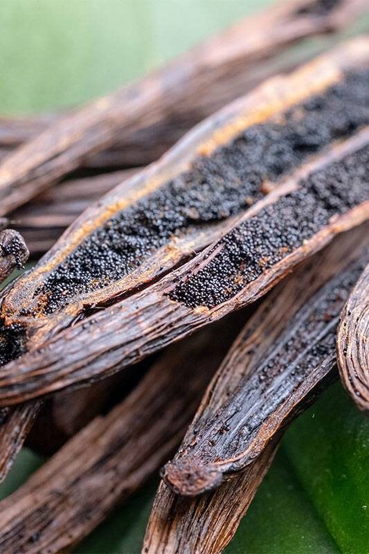 Vanilla (Vanilla planifolia L.) Absolute Oil 100%