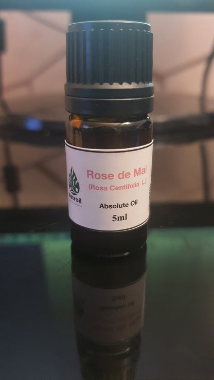 Rose De Mai ( R. centifolia L.) Absolute Oil 100%